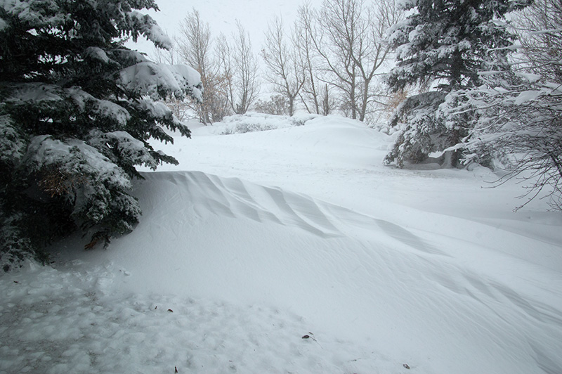 November Blizzard Life on 12 Acres